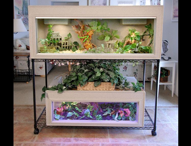 Reptile cages sales and supplies